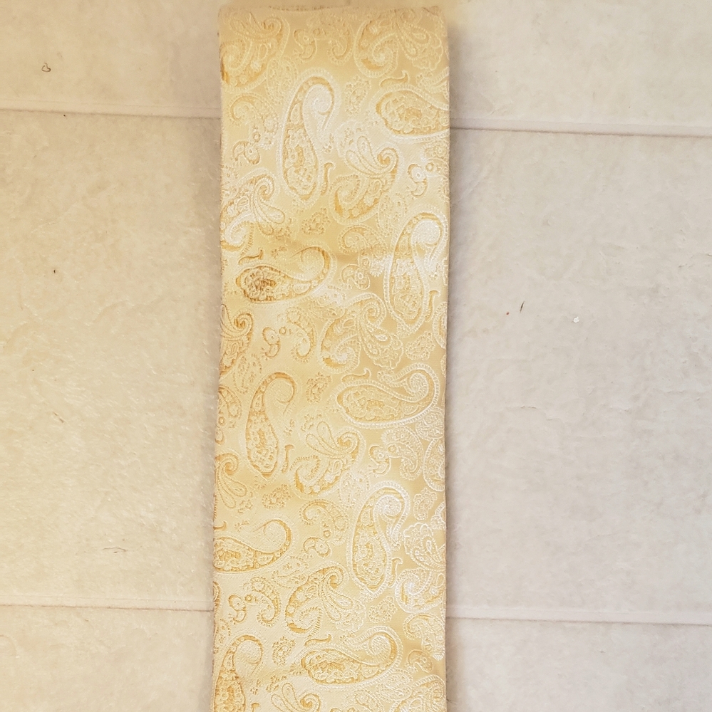 Geoffrey Beene 100% silk raised paisley tie👍